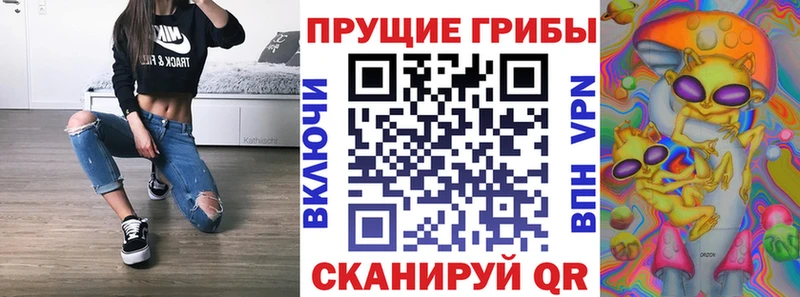даркнет сайт Черкесск Галлюциногенные грибы MAGIC MUSHROOMS