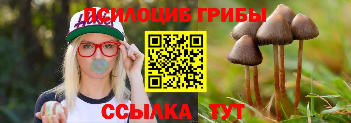 Галлюциногенные грибы мухоморы Черкесск