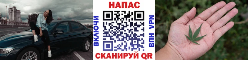 где продают наркотики  Черкесск  Бошки Шишки Ganja 
